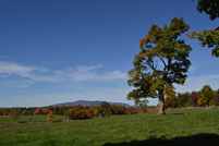 Mt. Monadnock - Witt Hill Rd - Mountain and Tree - Fall
